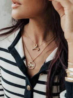 Andrea Zodiac Necklace - Capricorn