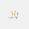 Verbena 18K Gold Vermeil Earrings - 12MM